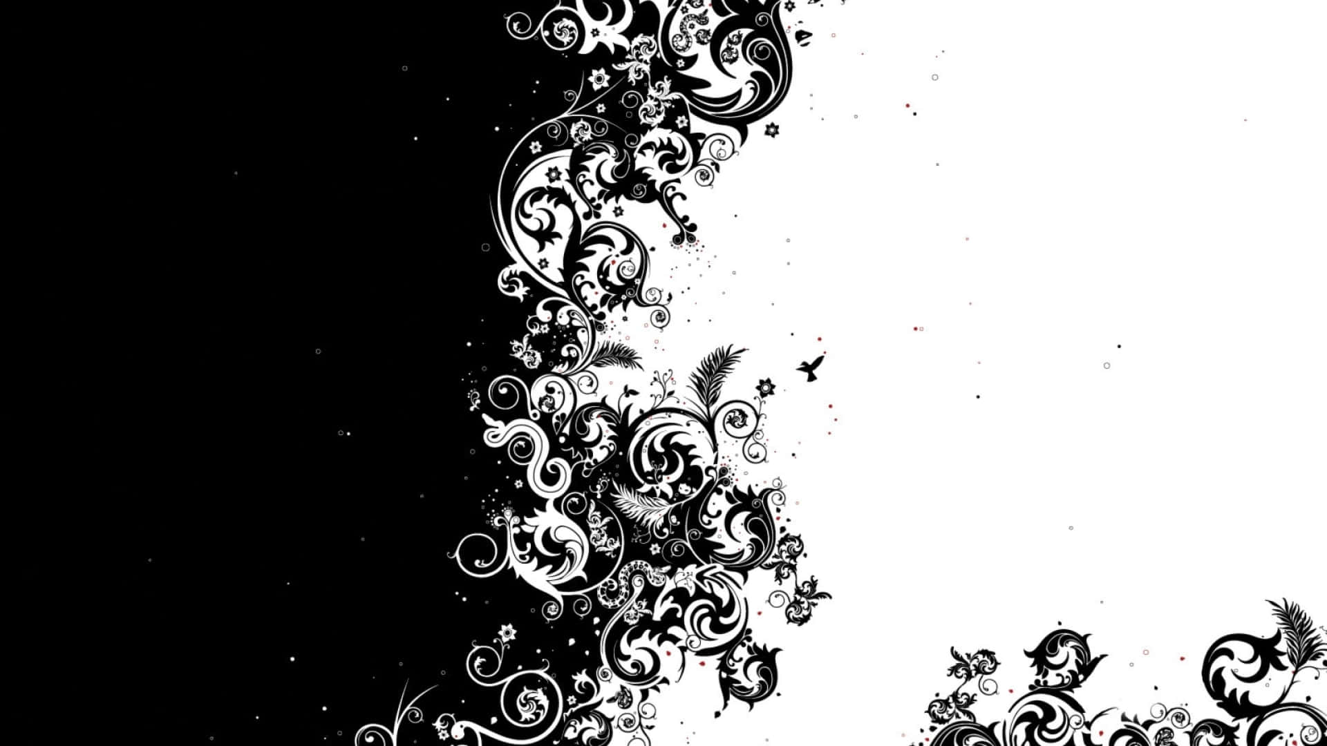 Half Background Wallpaper