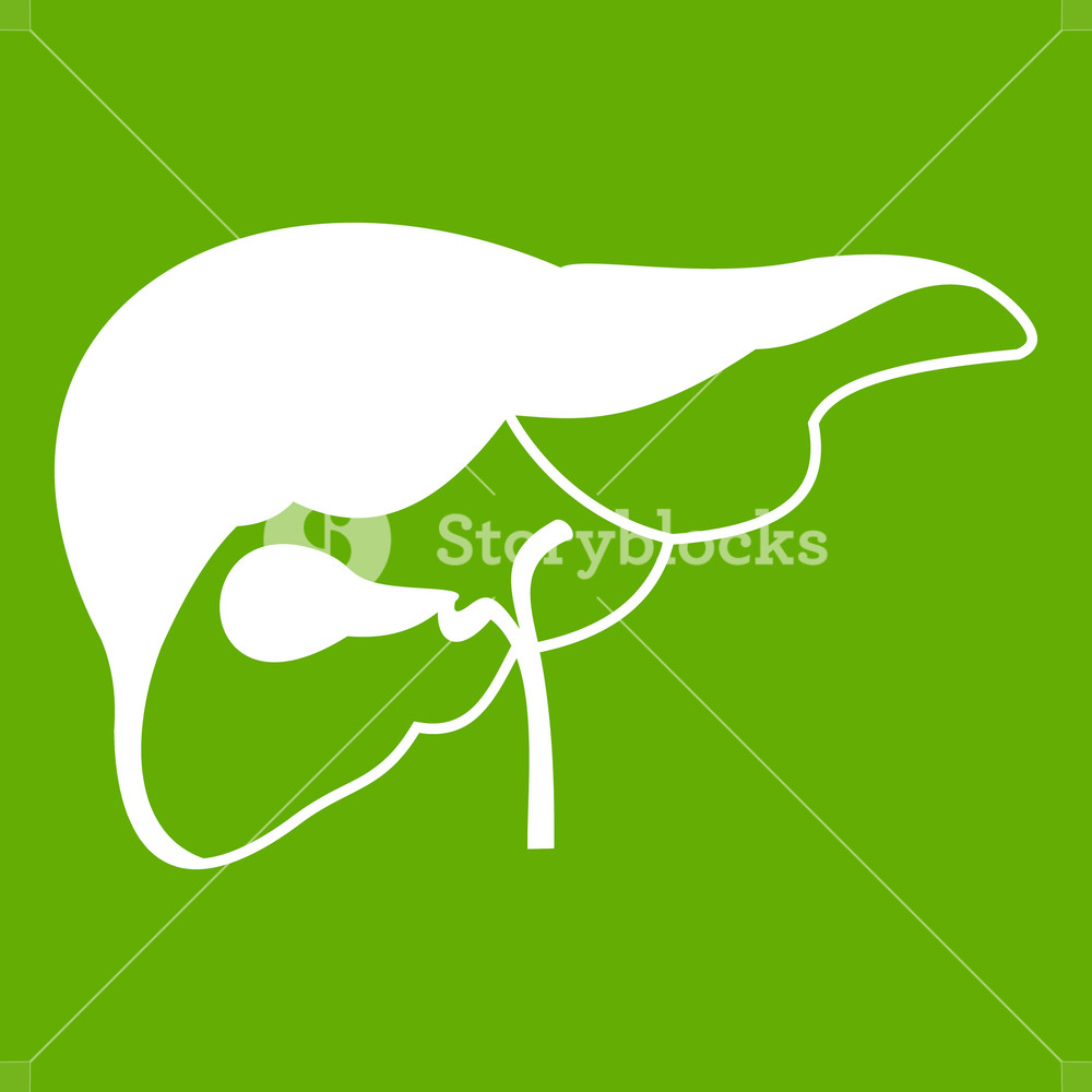 Liver Icon White Isolated On Green Background Vector Illustration