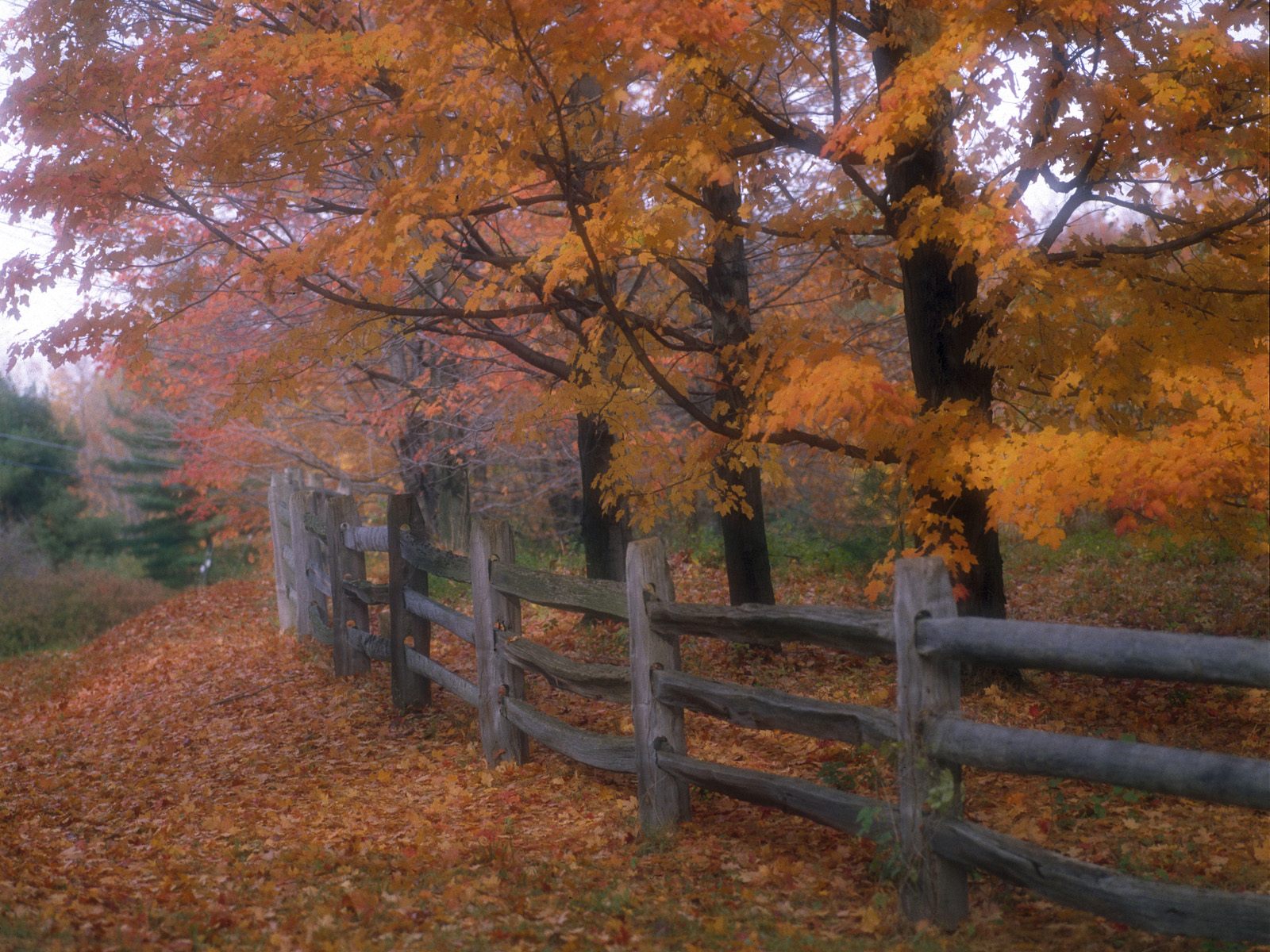 Country Fence Desktop Pc And Mac Wallpaper