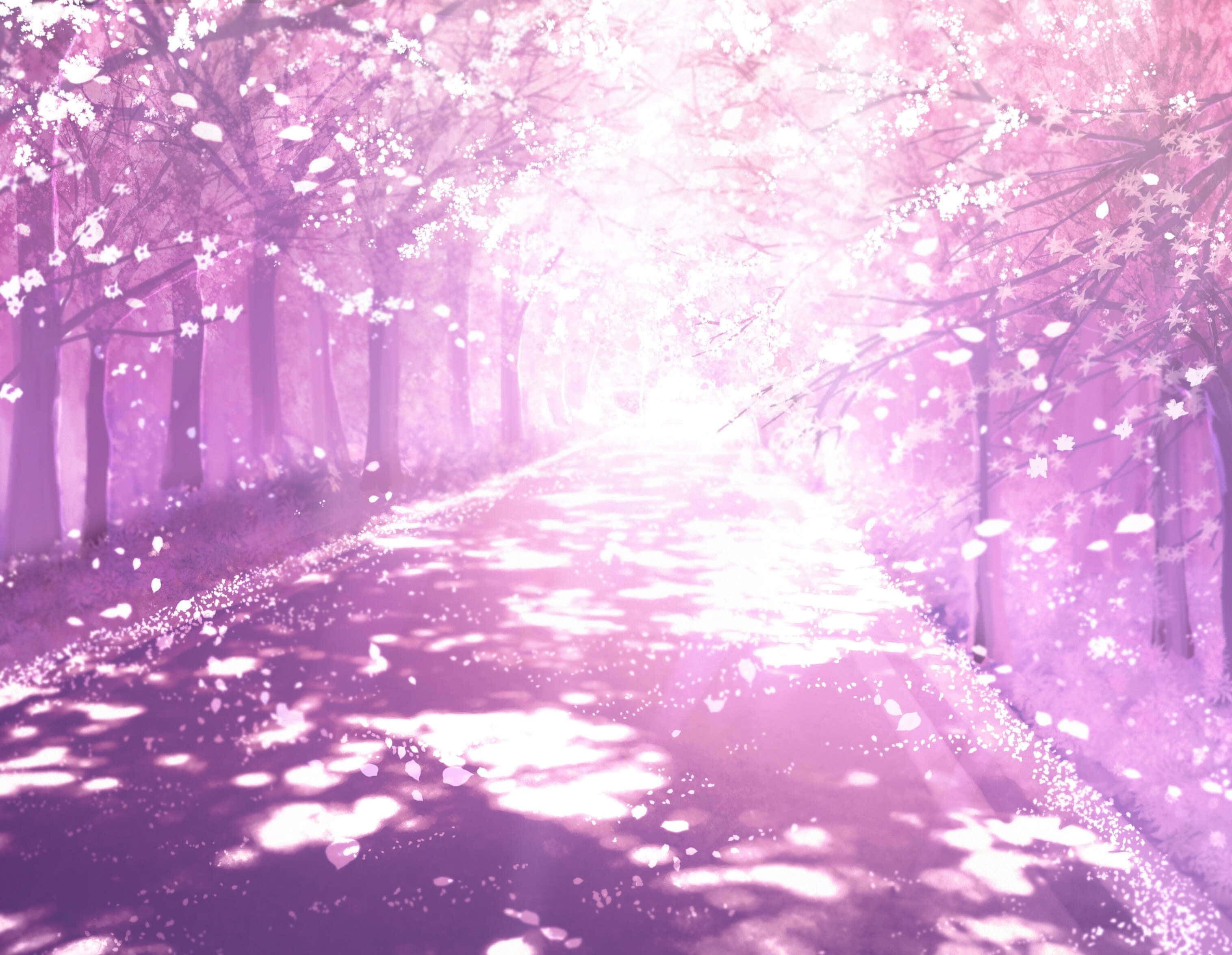Anime Cherry Blossom Background Wallpaper