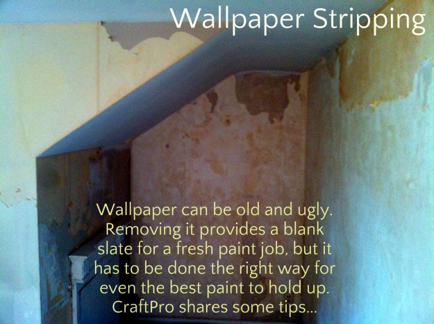 CraftPro for the best way to thoroughly remove wallpaper and wallpaper