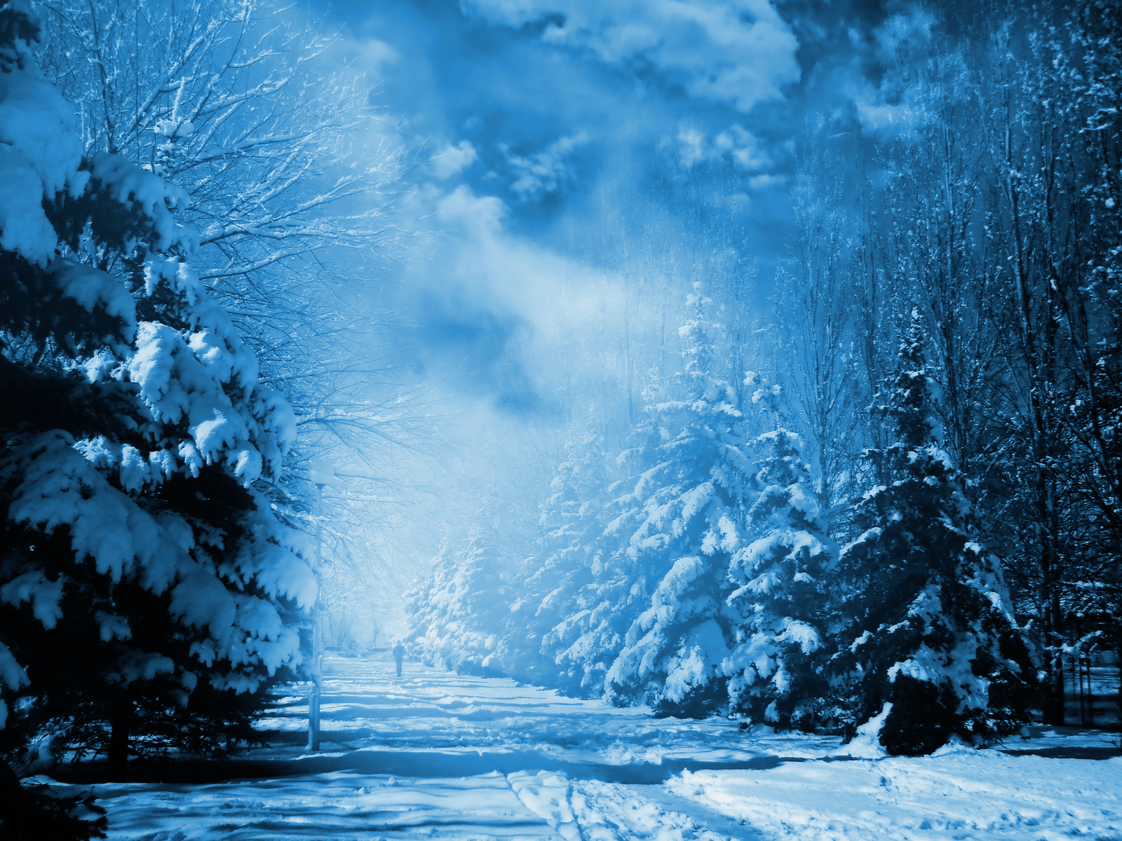 For All Time Snowfall And Winter Wallpaper Collection