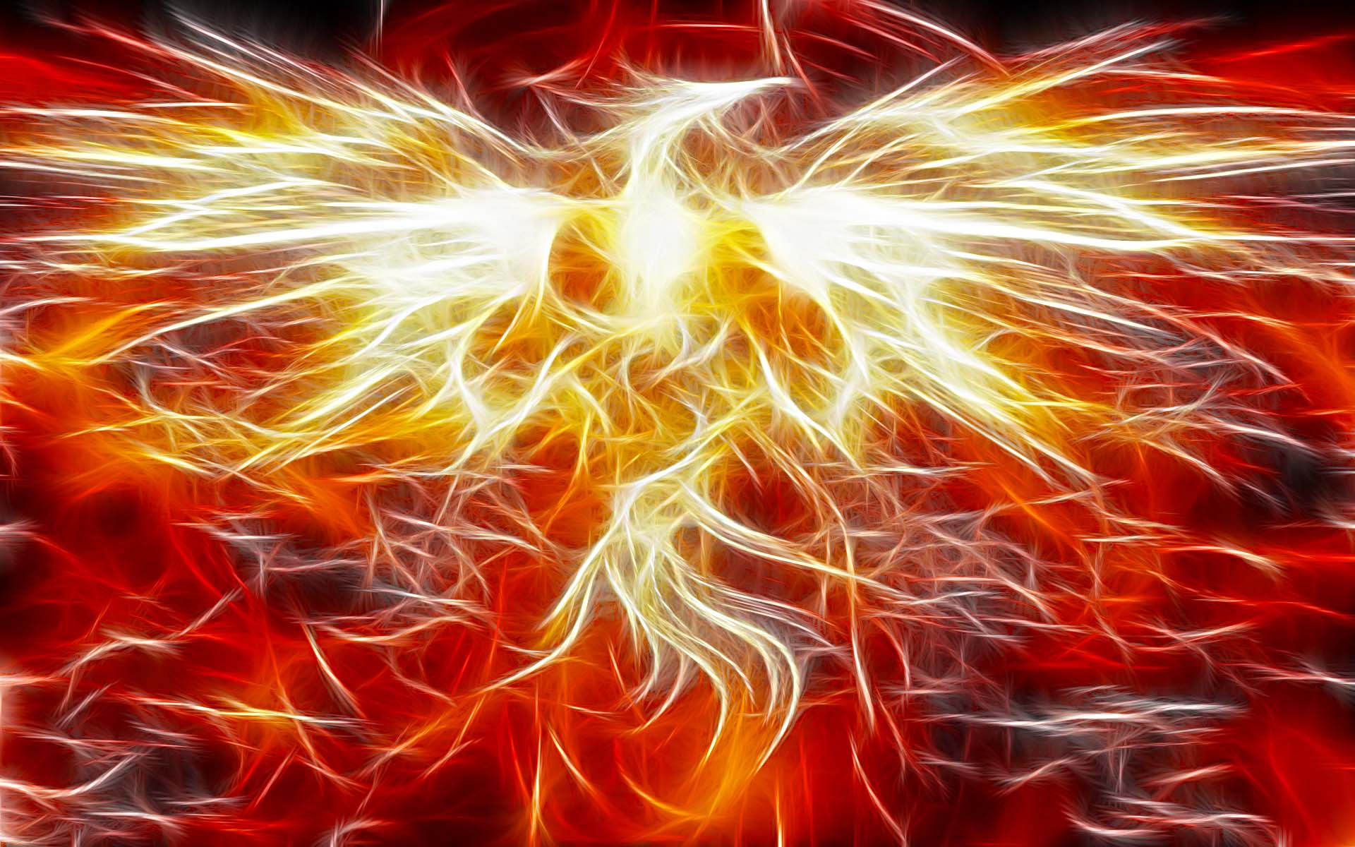 Fantasy Fire Phoenix Wallpaper
