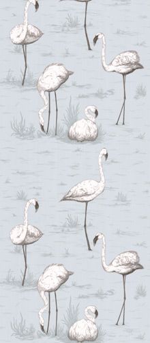 Cole Son Contemporary Restyled Flamingos Wallpaper