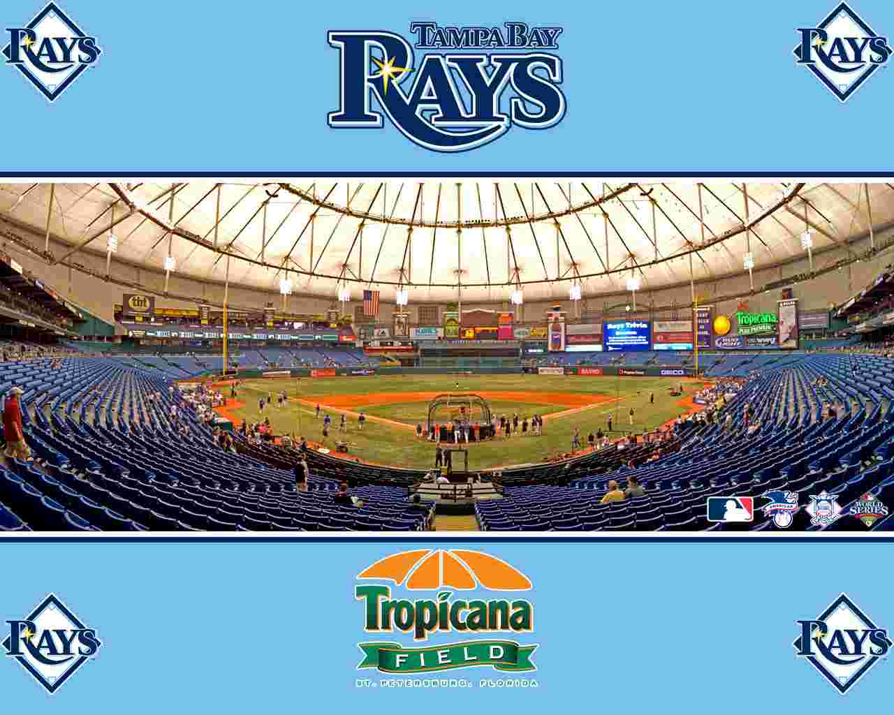 tampa bay rays wallpaper   Baseball   Sport   Wallpaper Collection