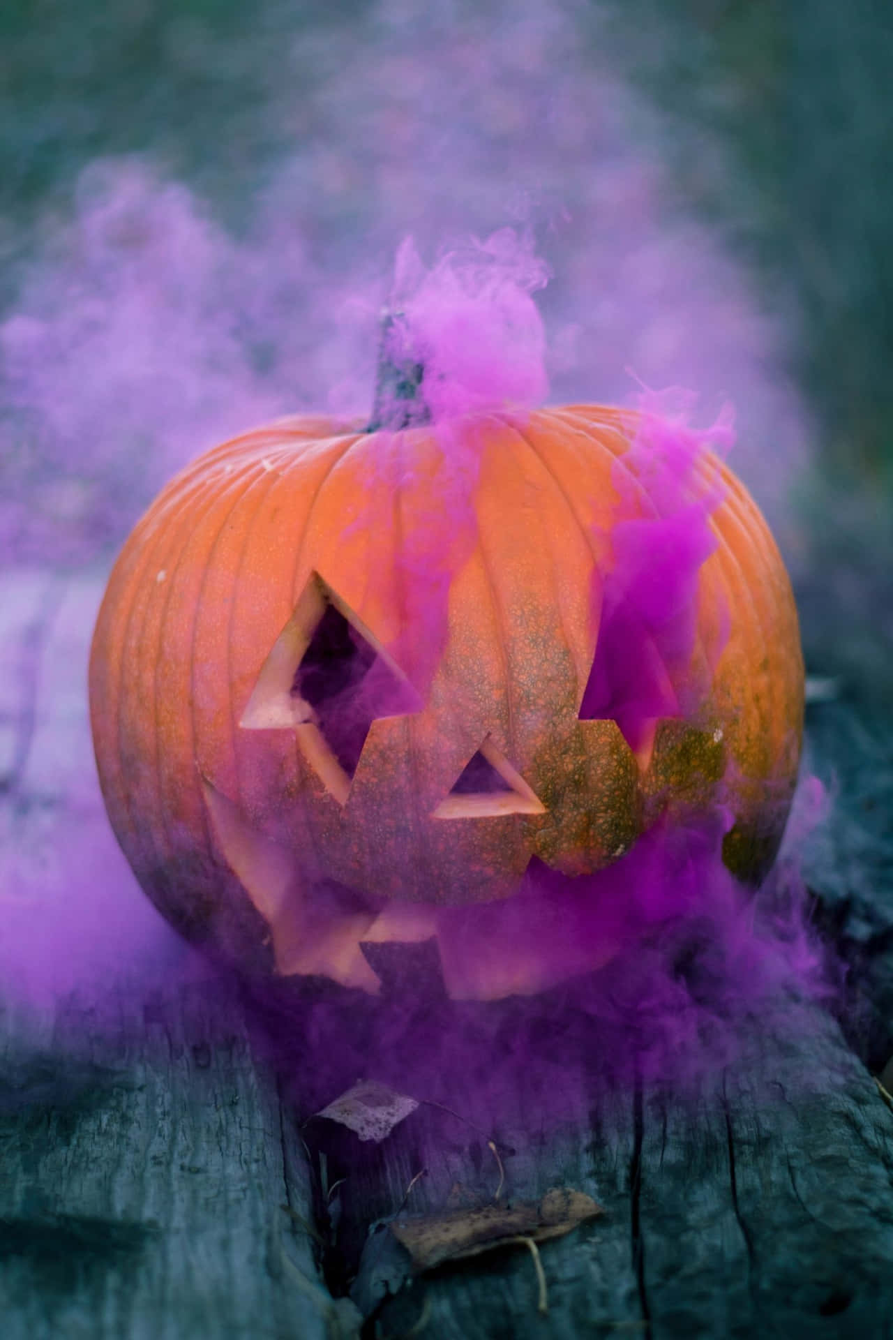 Spend A Beautiful Halloween This Year Wallpaper