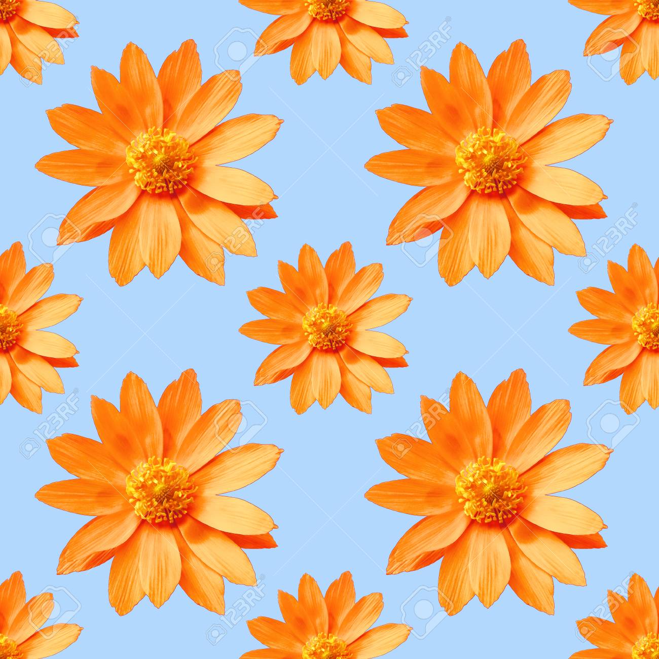 Adonis Texture Of Flowers Seamless Pattern For Continuous