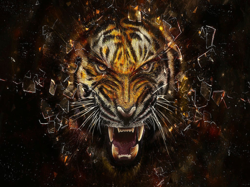 3d Black Tiger Wallpaper Image Num 68