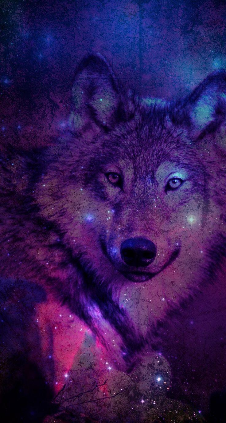 Wolf Wallpaper For iPhone Pictures