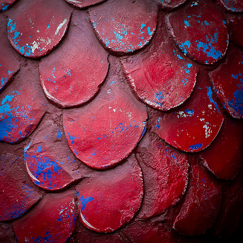 Dragon scales new iPad retina wallpaper size Flickr   Photo