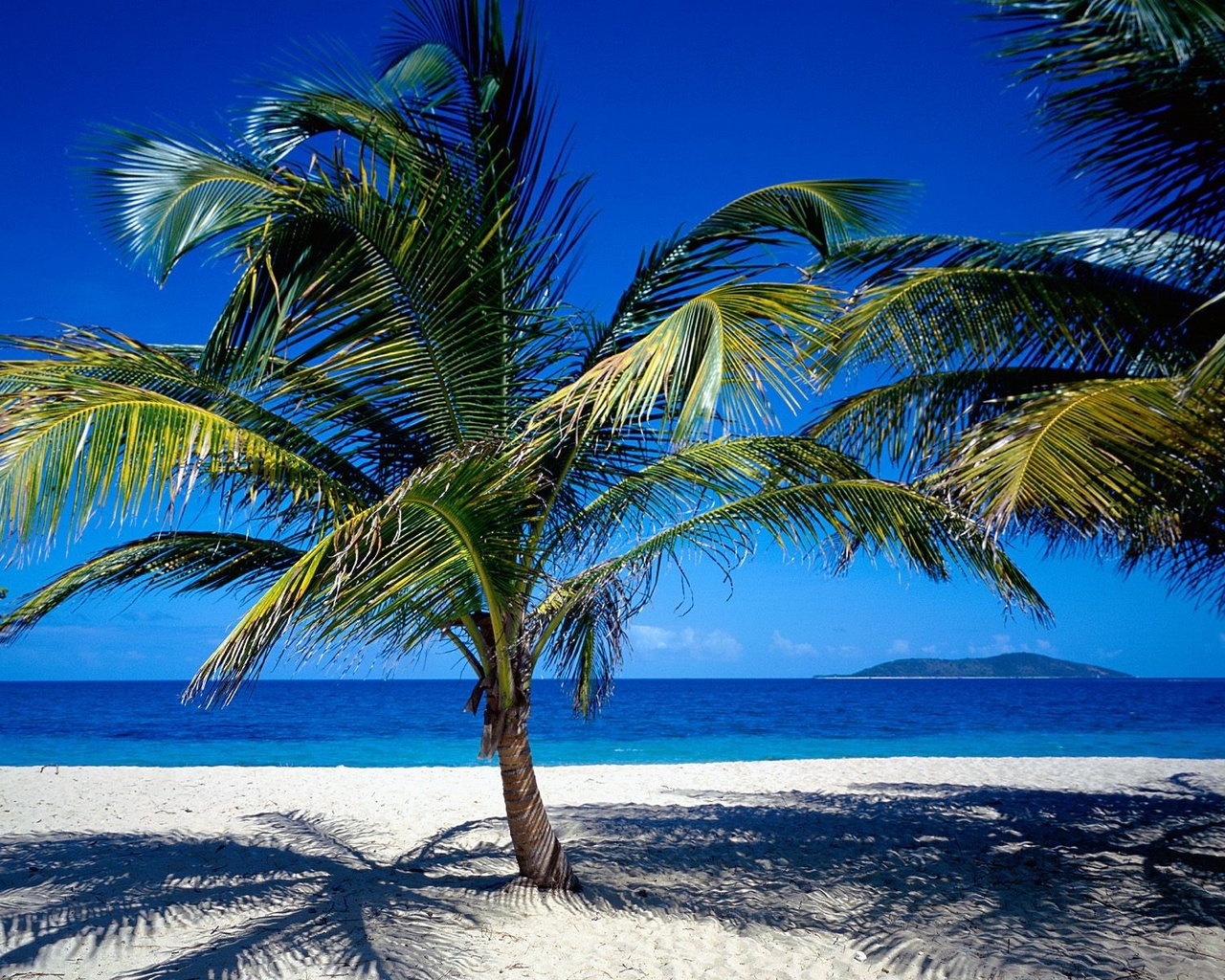 Travel Caribbean Beach Laptop Wallpaper Freetopwallpapercom