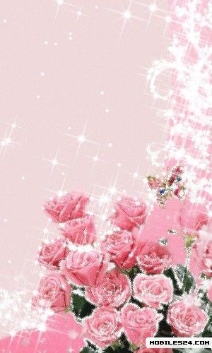 Sparkling Pink Roses Live Wallpaper Samsung Galaxy S3 App