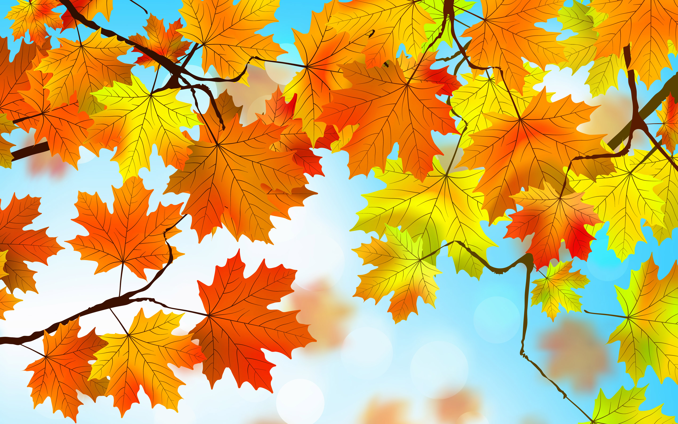 Autumn Leaves Hd   Autumn Leaves Hd Wallpapers backgrounds