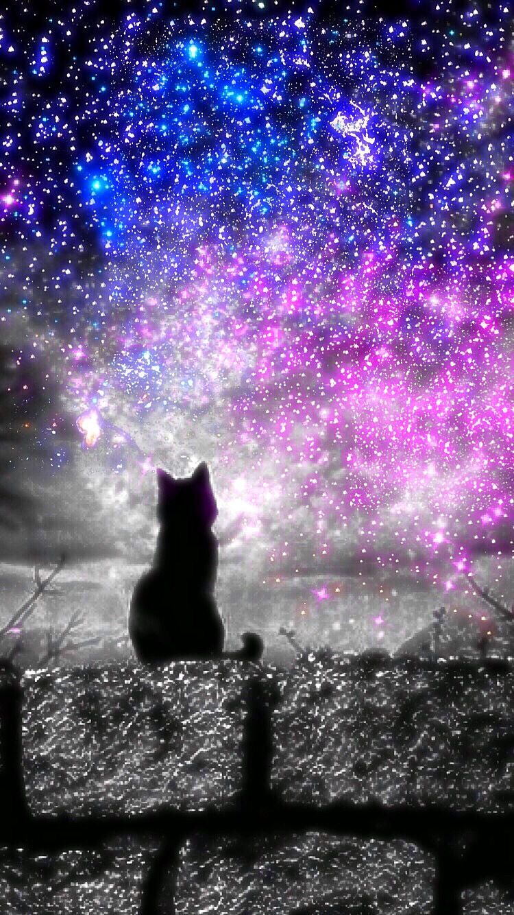 Black Cat Galaxy Wallpaper On