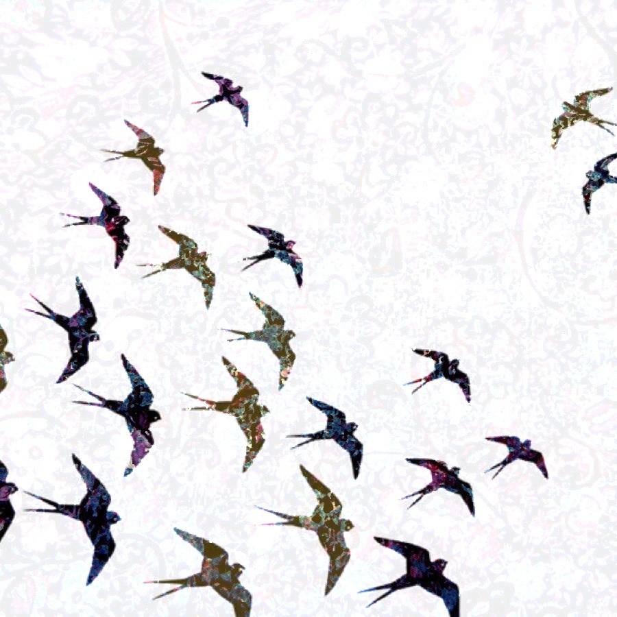 Bird Pattern Wallpaper Birds Vintage Wallpaper
