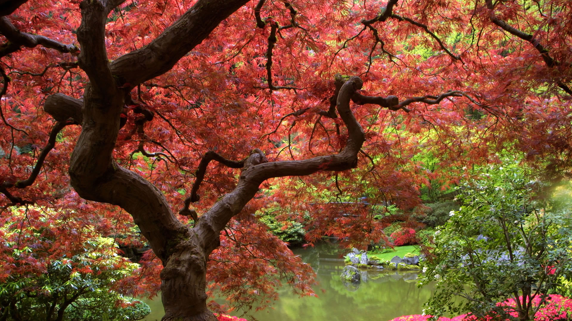 Home Nature Landscapes Autumn Desktop Background