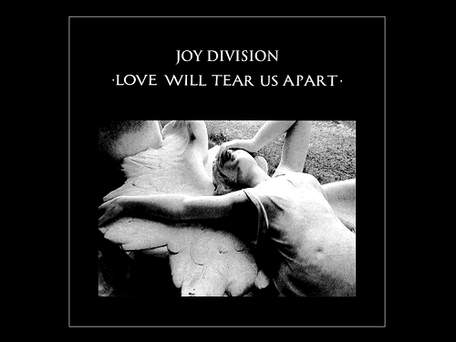 Love Will Tear Us Apart Photo Sharing