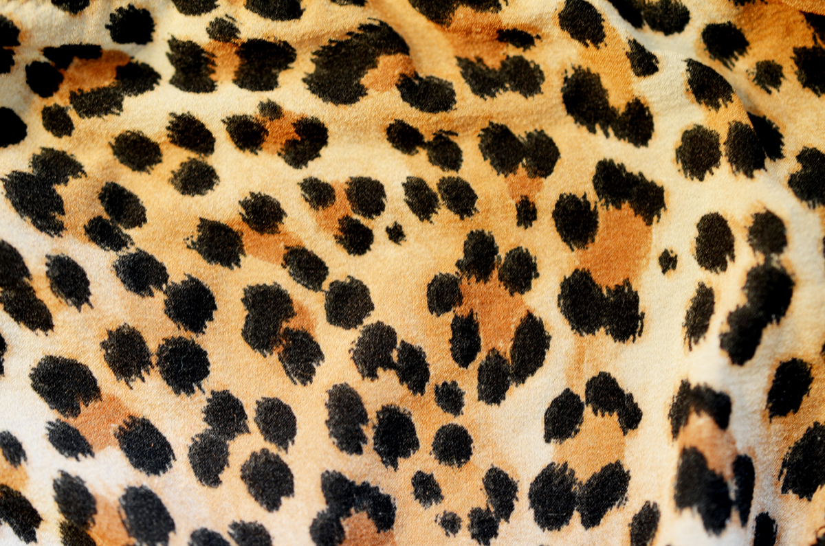 Leopard Print Art Wallpaper For Android Live