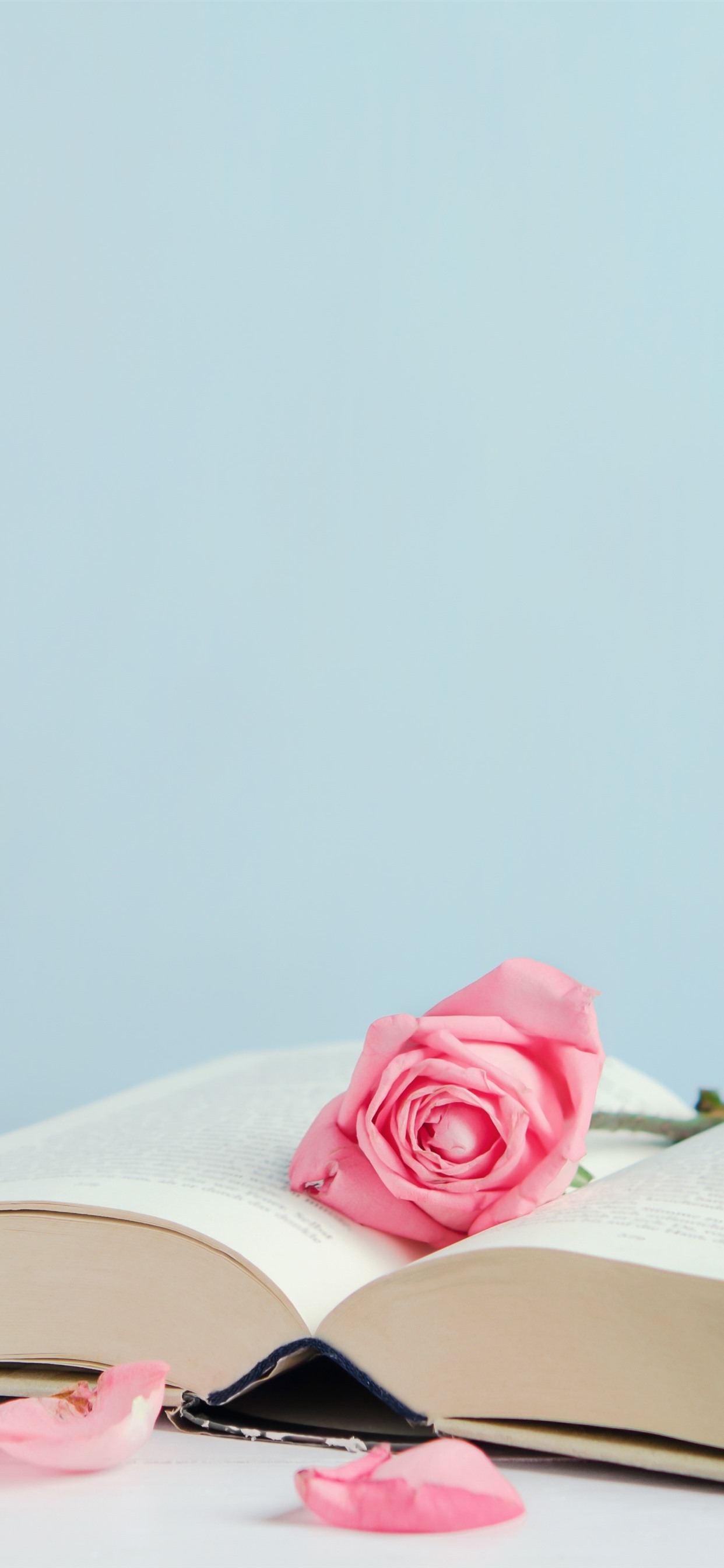 iPhone Wallpaper Book And Pink Roses Petals Rose Gold Xs