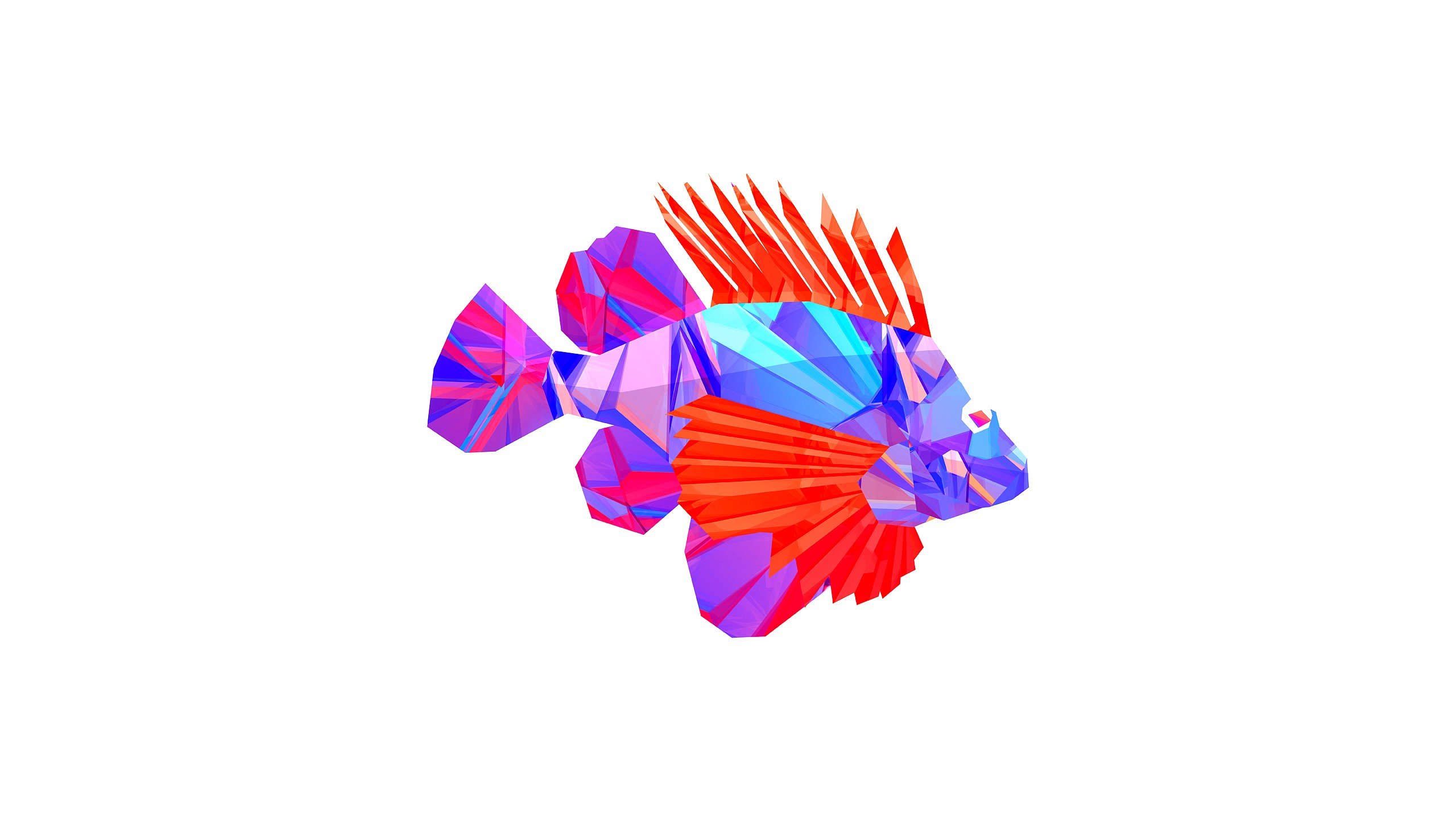 Abstract Animals Fish Vectors Digital Art Justin Maller Wallpaper