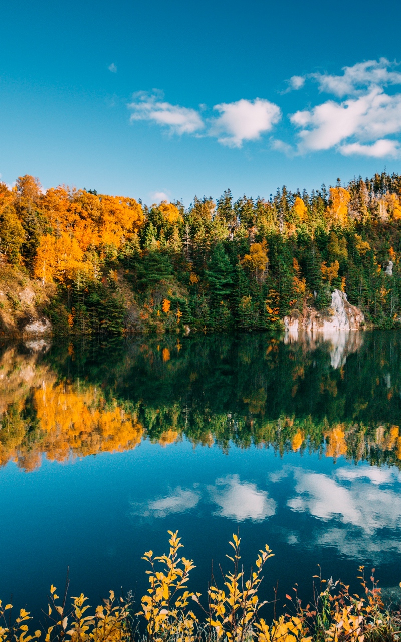 Wallpaper Autumn Lake Trees Water Reflection