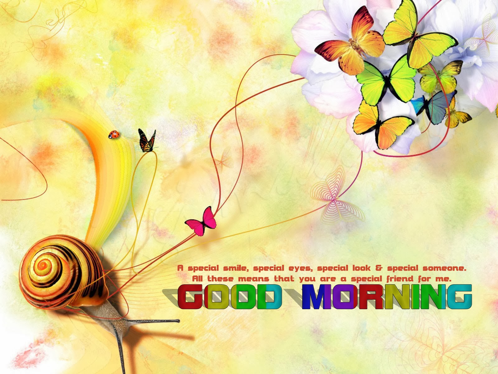 Good Morning Greeting Colorful HD Wallpaper