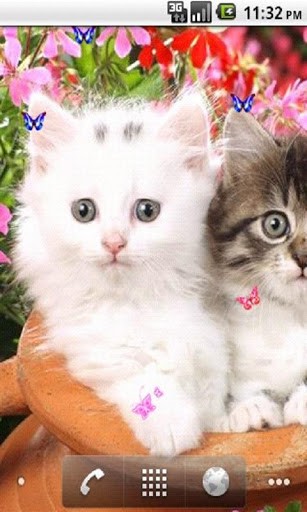 Sweet Cute Cats Live Wallpaper Screenshot