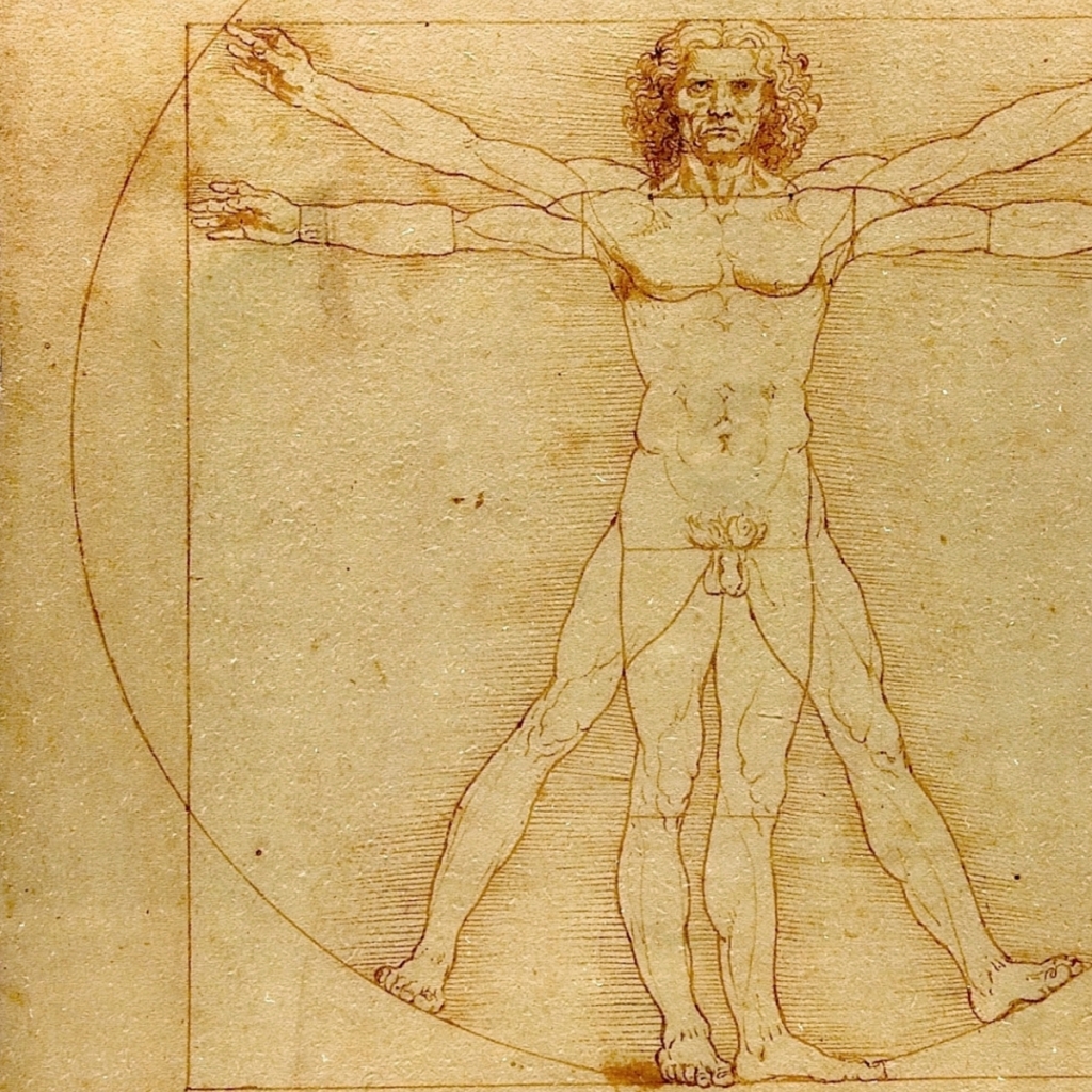 Man Leonardo Da Vinci Wallpaper Art HD