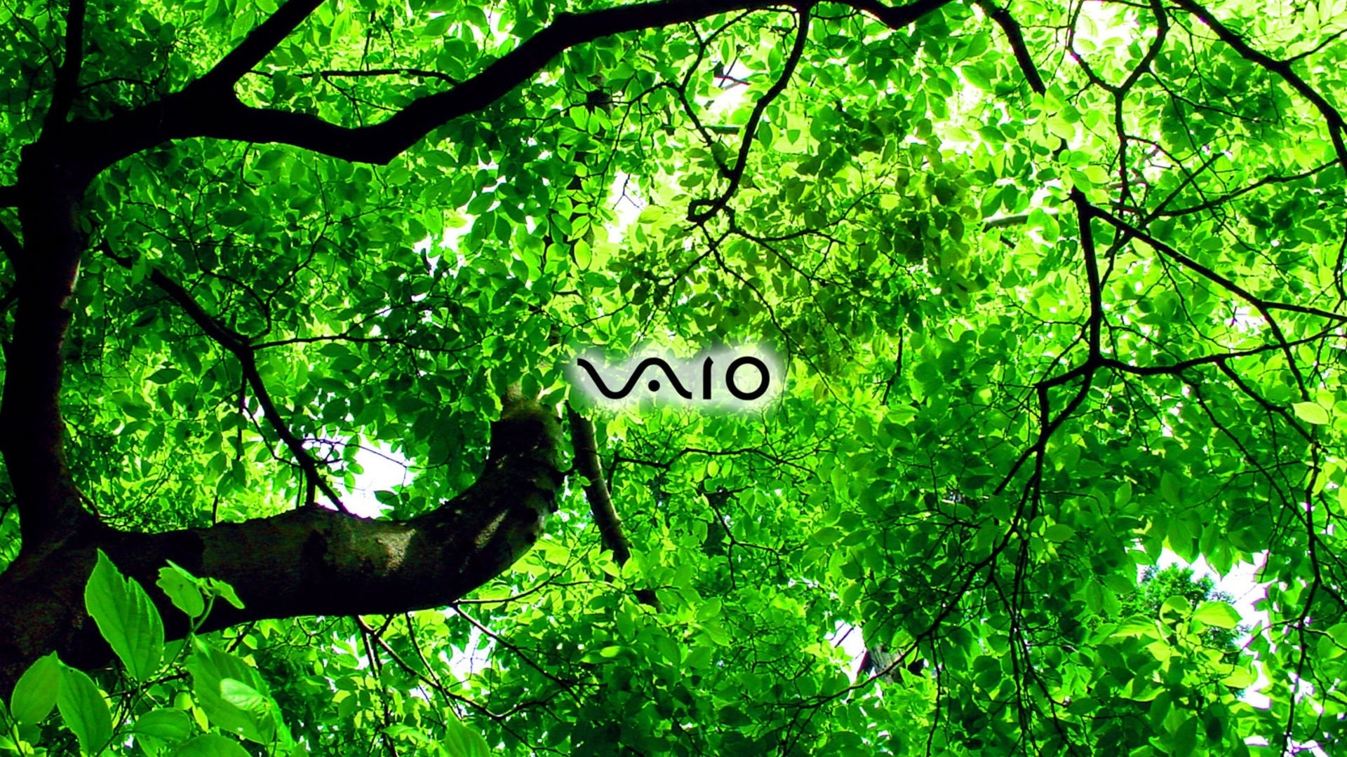 Sony Vaio Green At X Size
