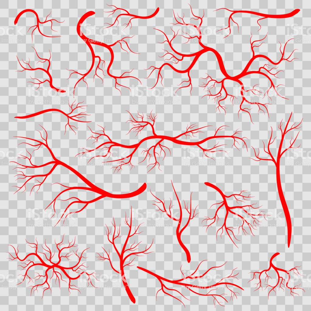 Creative Vector Illustration Of Red Veins Isolated