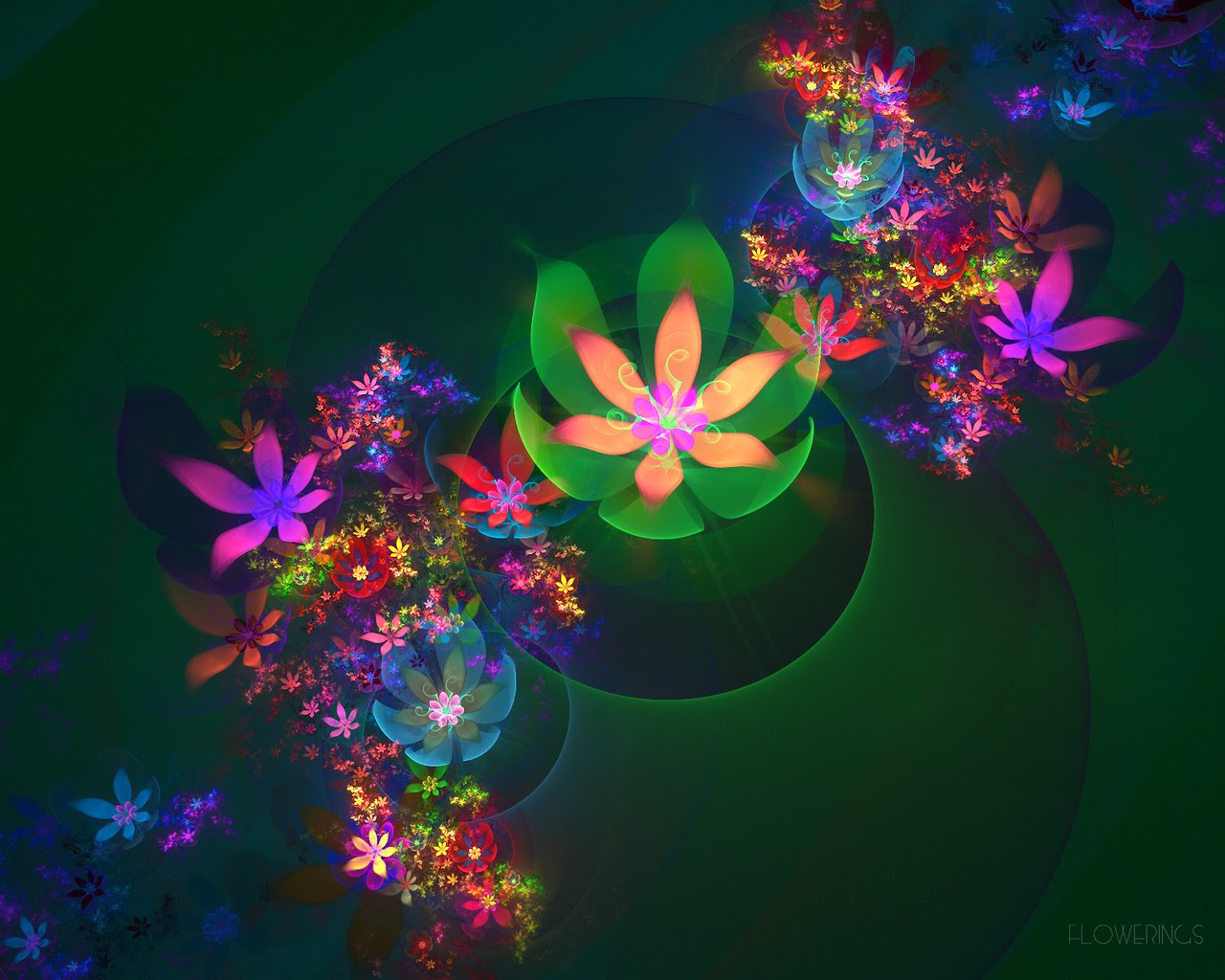 3D flower wallpapers for the nature lovers blog for everyone