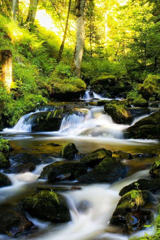 Black Forest Germany iPhone 4s Wallpaper Download iPhone Wallpapers