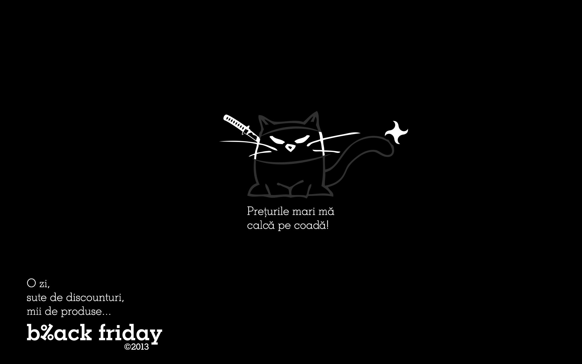 Wallpaper Emag Black Friday Cat In Actiune