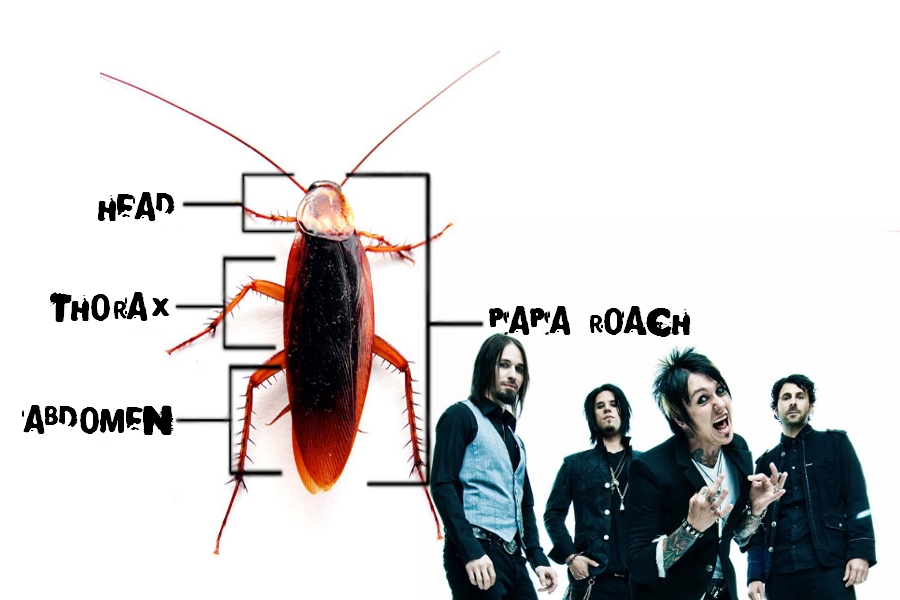 Papa Roach Wallpaper By Zenfiro