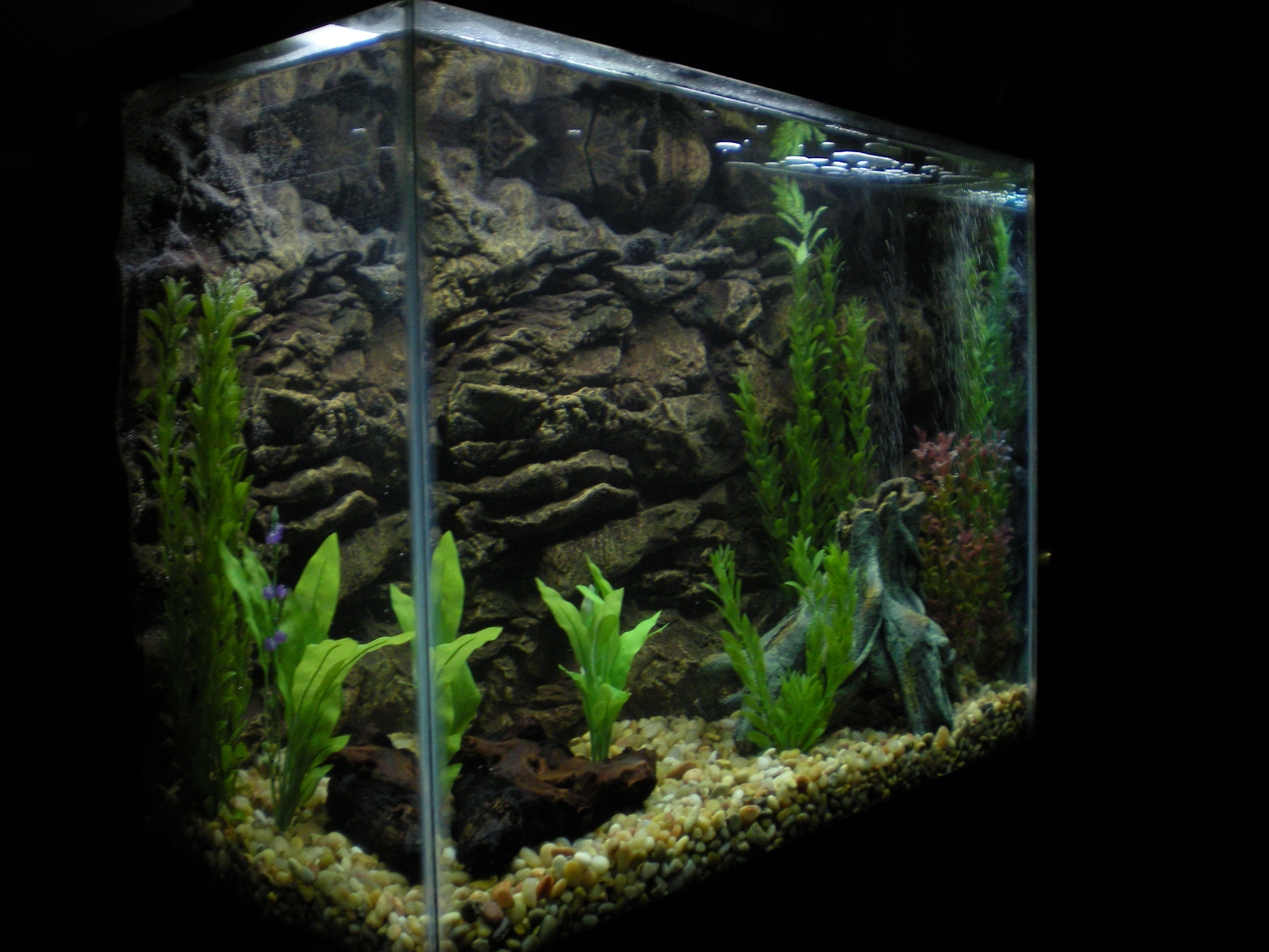 Aquarium Background Picture