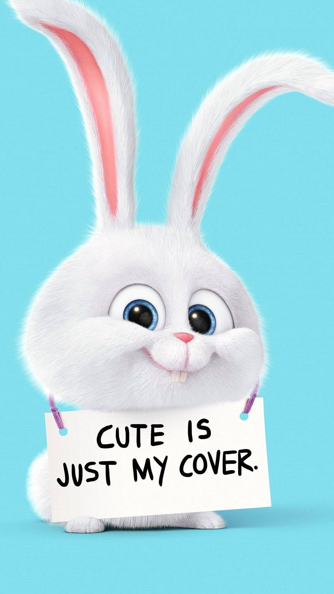 Snowball Bunny Cartoon Phone Wallpaper