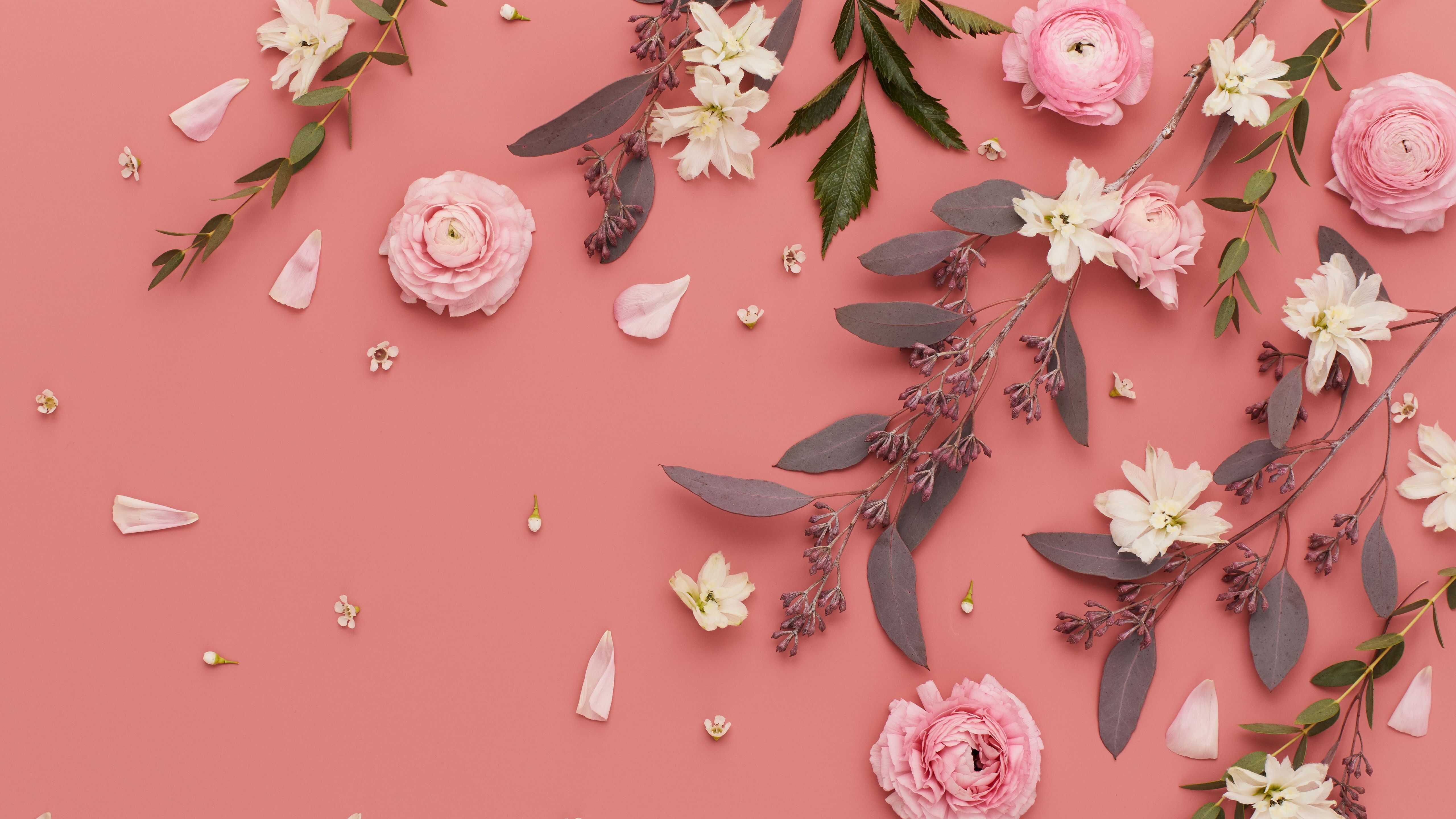 Pink Wallpaper Aesthetic HD