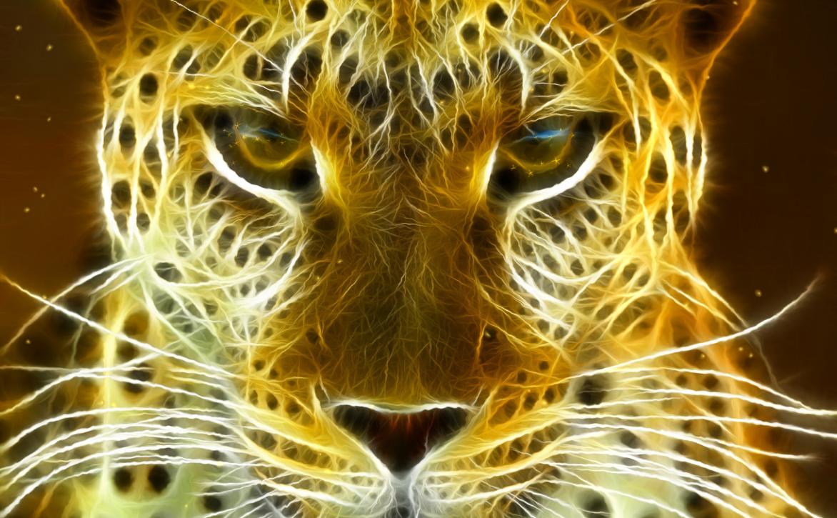 Download Wild Felines Animated Wallpaper DesktopAnimatedcom