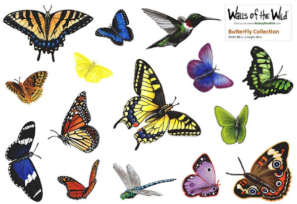 Butterfly Peel and Stick Collection   Wall Sticker Outlet