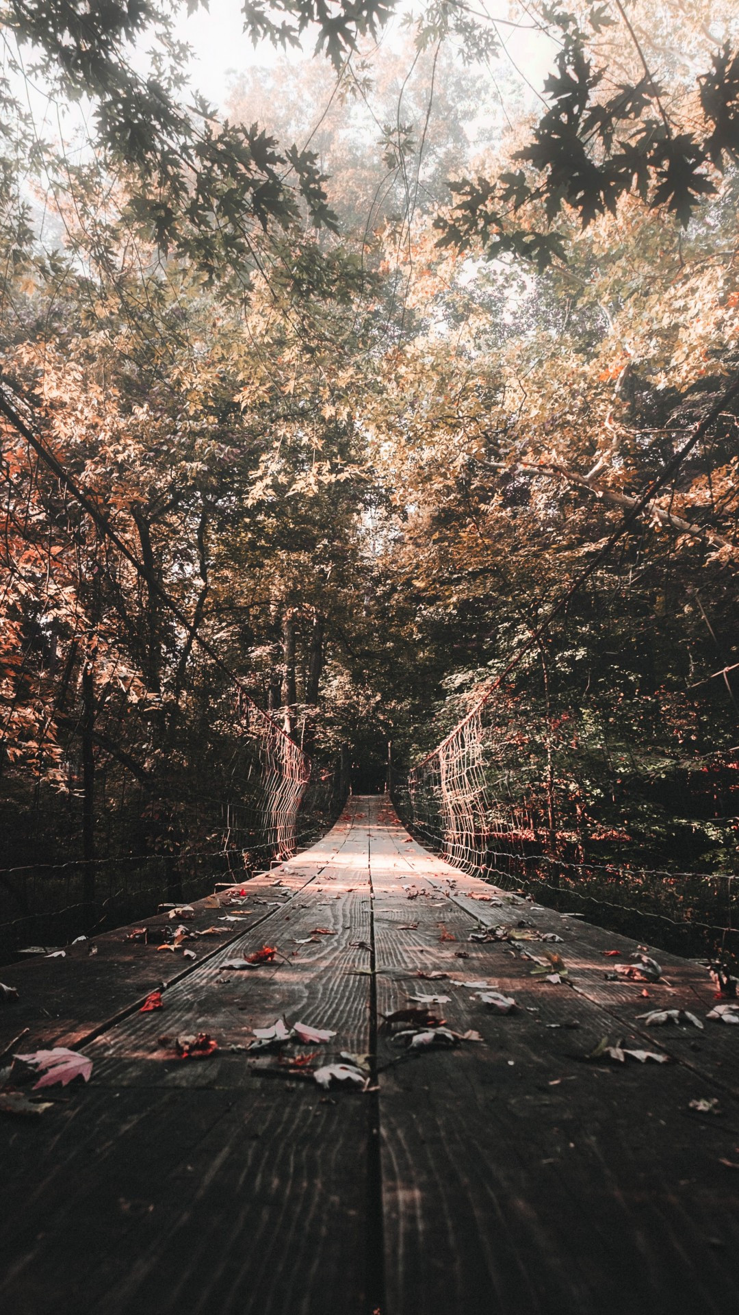 Wooden Bridge Autumn Leaves Wallpaper For