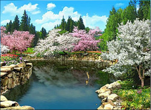 wallpapers enjoy 3d spring flowers wallpapers for your computer