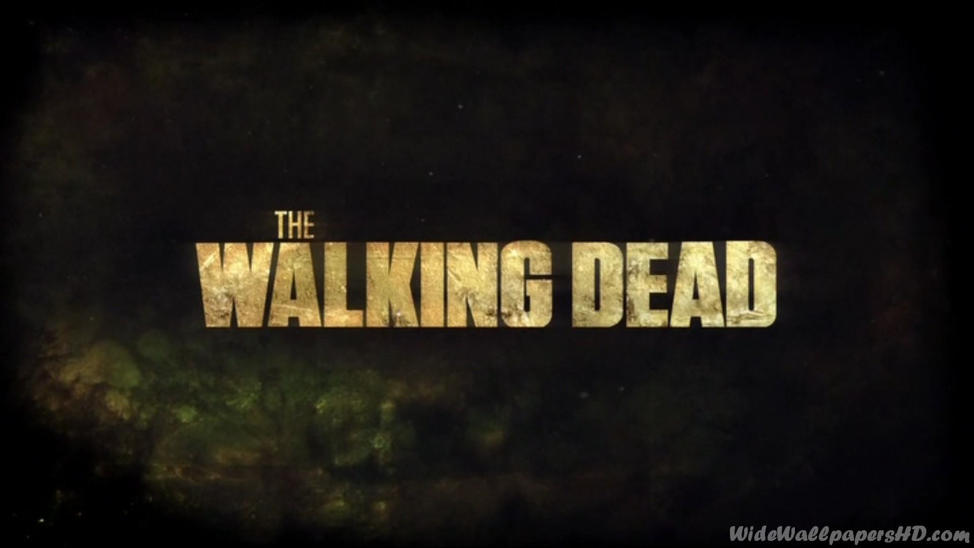 The Walking Dead HD Wallpaper For Desktop