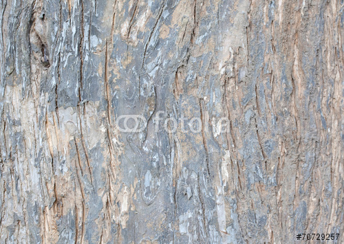 Tree Bark Texture Wallpaper And Background Fotos De Archivo E