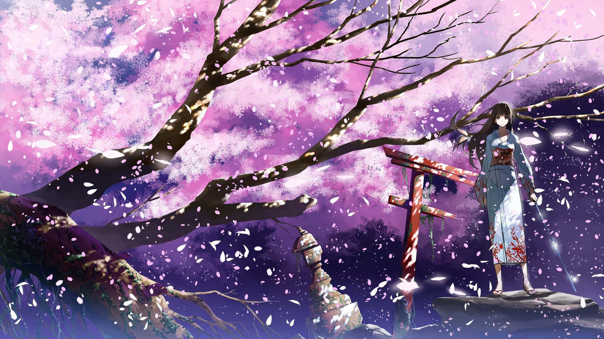 Cherry Blossoms Anime Scenery Wallpaper