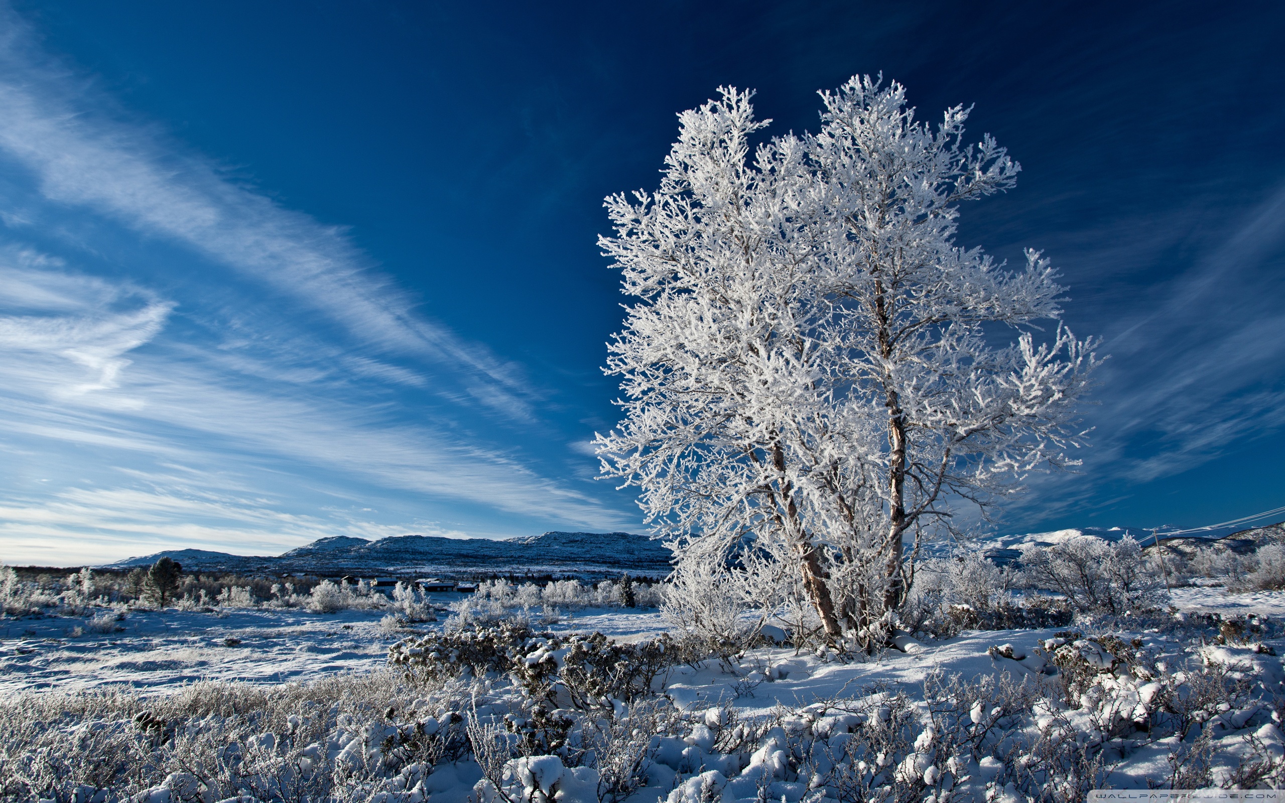 Winter Blue Sky Wallpaper And Image Pictures Photos