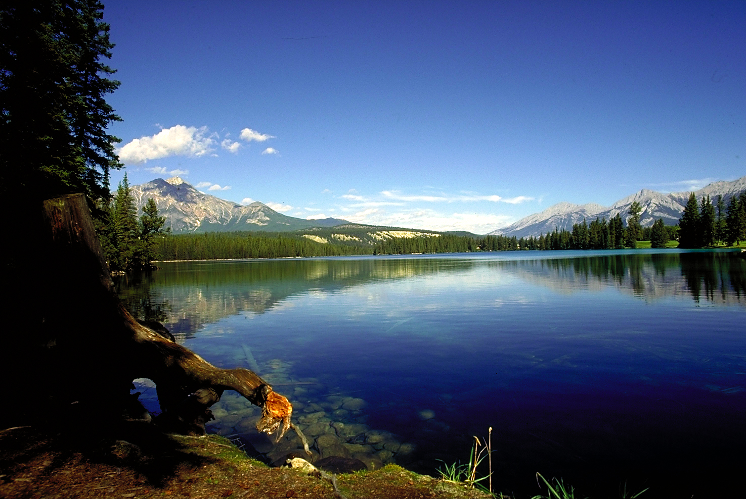 Funny Wallpaper HD High Resolution