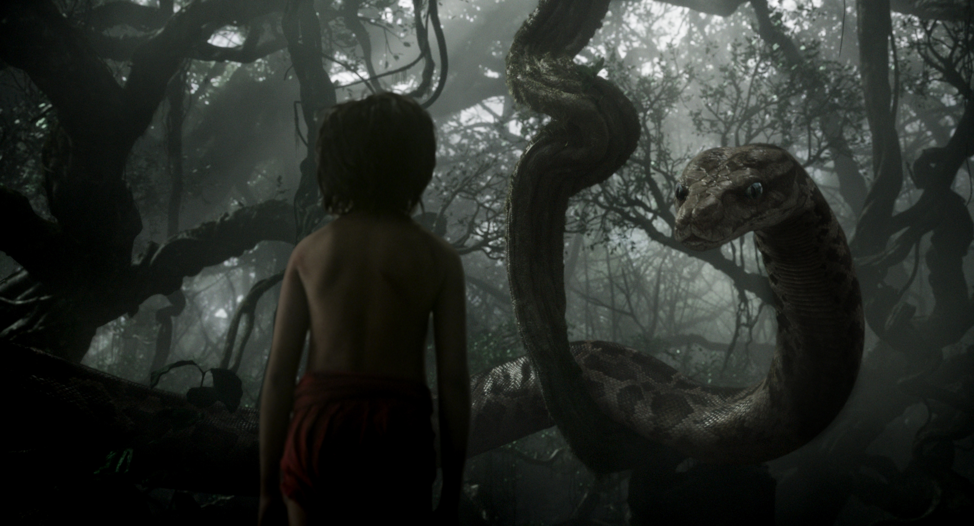 Mowgli And Kaa The Jungle Book Wallpaper