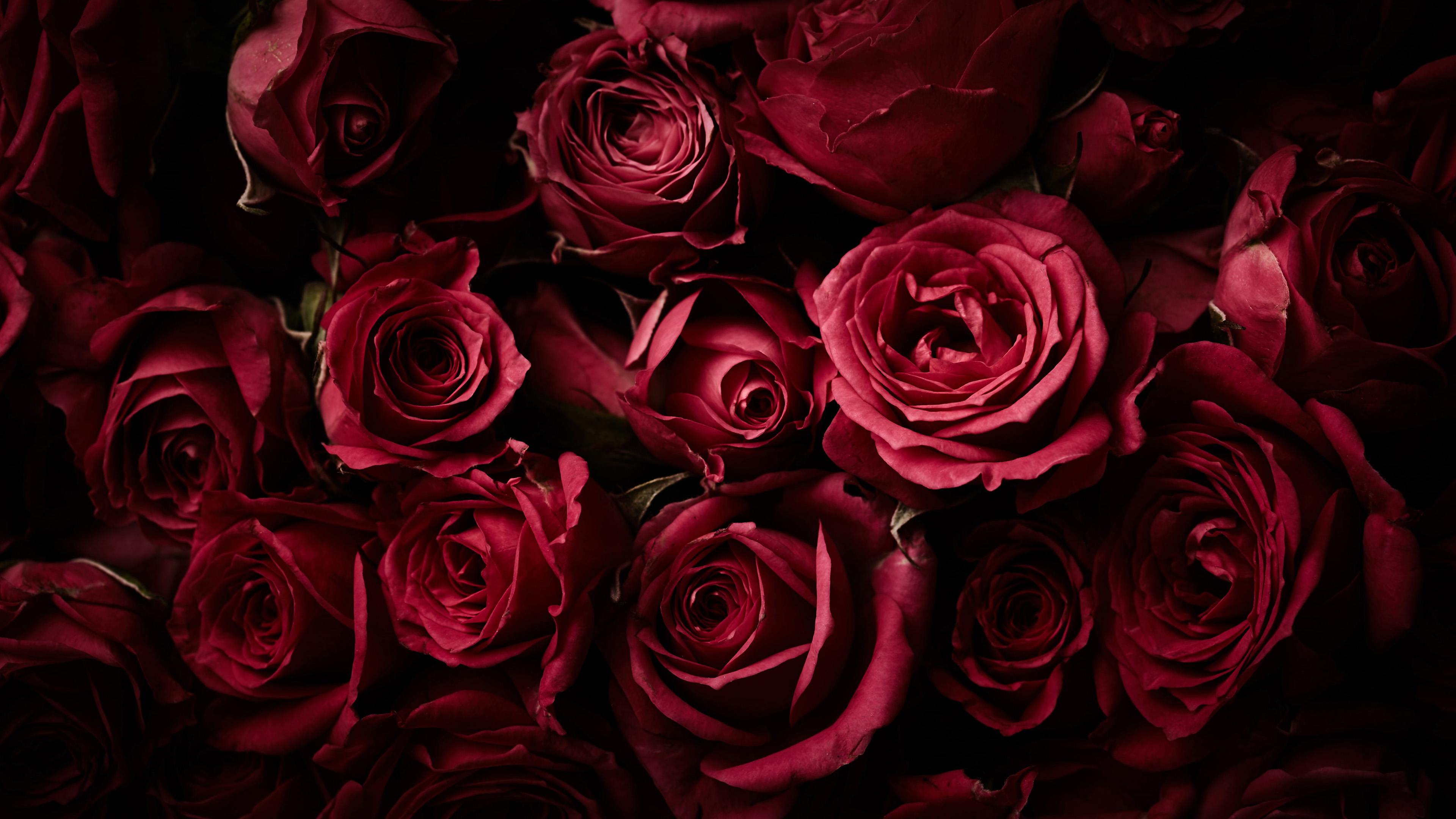 Bouquet Of Red Roses Wallpaper