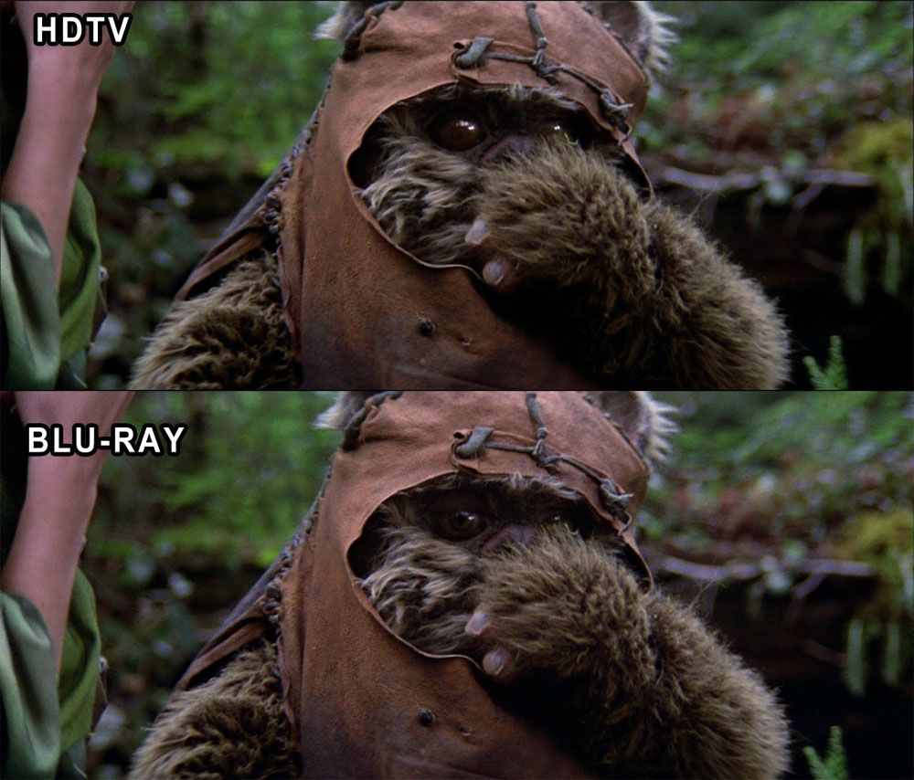 Soul Dammit George Ewoks Aren T Supposed To Have Devil S Eyes