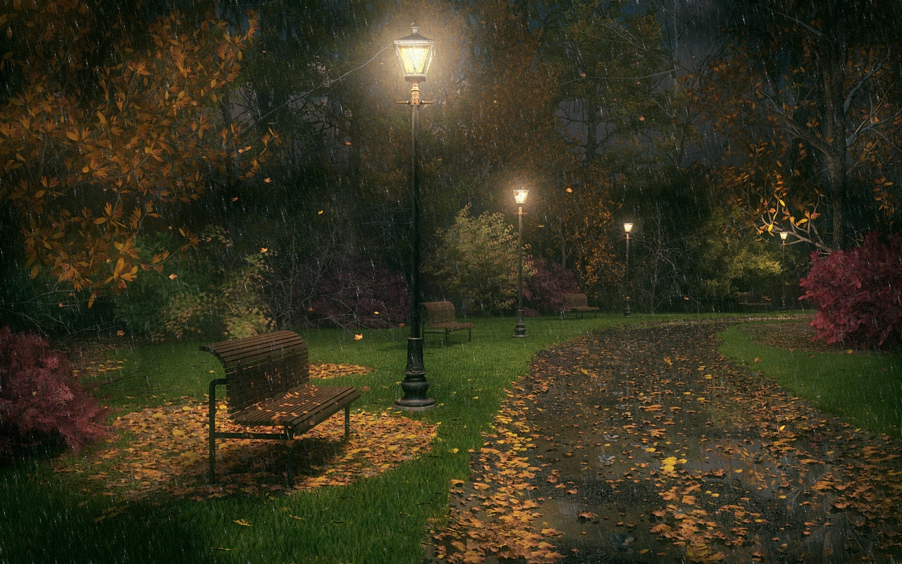 Rainy Night HD Wallpaper Pictures Image Background Photos